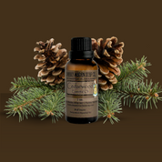Bottle of Cedarwood essential oil with pine cones and branches on a brown background