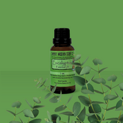 Bottle of Eucalyptus Essential Oil with eucalyptus leaves on a green background